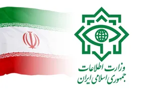 یک تبعه سوئدی توسط وزارت اطلاعات بازداشت شد+ جزئیات اتهام و نحوه دستگیری