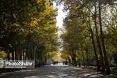 فاز نخست پارک ۷۳ هکتاری مشهد تا انتهای سال به پایان می‌رسد | ۱۰۰ میلیارد تومان اعتبار برای پروژه