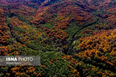 جایی میان پاییز و زمستان