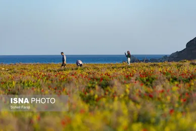 ایران زیباست | طبیعت هزار رنگ جلگه ارومیه
