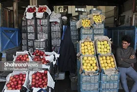 بررسی قیمت عمده فروشی میوه در اولین روز هفته در مشهد (۹ فروردین ۱۴۰۴)