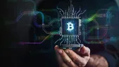 تجارت سیب‌زمینی بازار نفت و بیت‌کوین را پشت سر گذاشت !