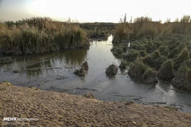 مرگ هورالعظیم