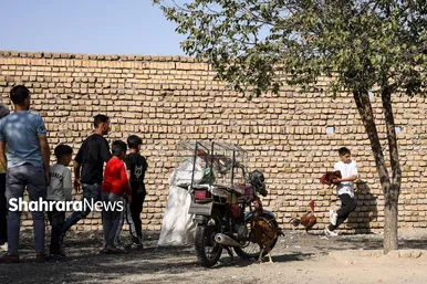 عکس‌هایی از جمعه‌بازار پرنده‌فروشان در شمال شرق مشهد