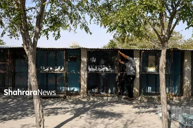 عکس‌هایی از جمعه‌بازار پرنده‌فروشان در شمال شرق مشهد
