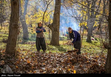 ایران زیباست | پاییز رنگارنگ کردستان