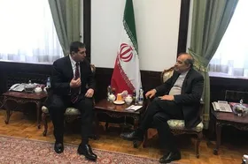 مشاور ارشد وزیر امور خارجه: جنایات رژیم اشغالگر قدس نسل&zwnj;کشی است