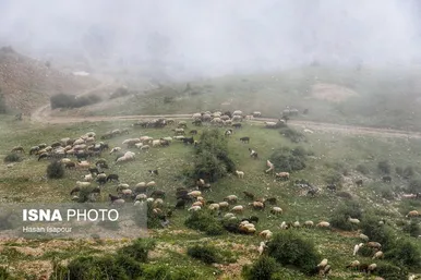ایران زیباست | روستای «اِسپِرِز» سوادکوه بر فراز ابر‌ها