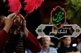 ویدئو| شبیه&zwnj;خوان مجلس سوم: اشک شمر