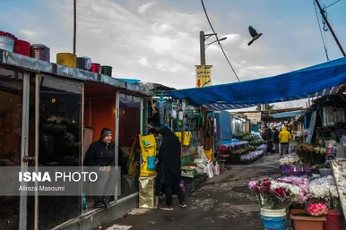 بازار گل محلاتی تهران در آستانه سال نو