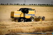 پیش‌بینی برداشت ۴۰۰ هزار تن جو از اراضی خراسان‌رضوی