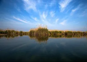 بارش باران تالاب&zwnj;های خوزستان را احیا کرد