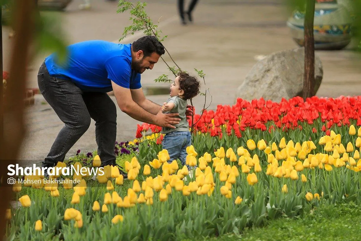 پیش‌بینی هواشناسی مشهد و خراسان رضوی، امروز (یکشنبه، ۱۳ اردیبهشت ۱۴۰۵) | تداوم گرما در سطح استان تا پایان هفته