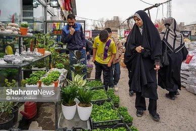 گزارش تصویری | حال‌وهوای بازار گل و گیاه مشهد در آستانه نوروز ۱۴۰۵
