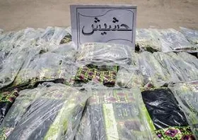 کشف بیش از یک تن حشیش در پژو ۴۰۵