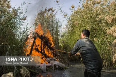 نگهبانان تالاب هورالعظیم