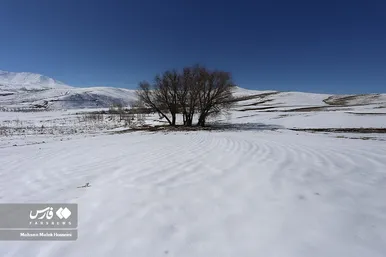 ایران زیباست | طبیعت برفیِ «هندودر»