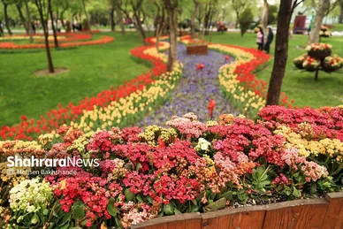 گزارش تصویری | جشنواره گل‌های لاله در مشهد