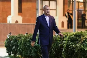 امیرعبداللهیان در تماس با وزیر خارجه هلند: مستندی مبنی بر کشته شدن یک&zwnj; کودک در مقر تروریستی موساد در دست نداریم