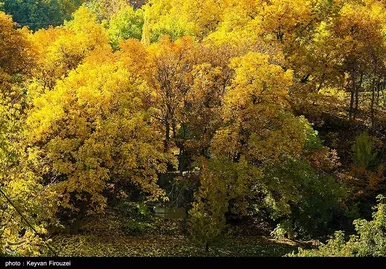 ایران زیباست | پاییز رنگارنگ کردستان