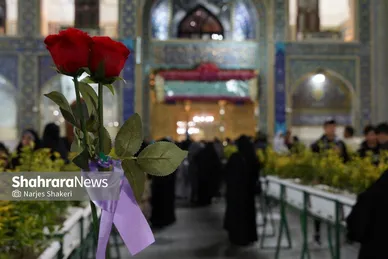 حال‌وهوای حرم مطهر امام‌رضا(ع) در شب میلاد کریم اهل‌بیت(ع)