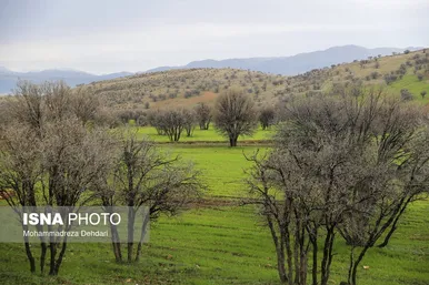ایران زیباست | زمستان بَهاری در فارس