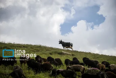 ایران زیباست | ییلاق در کوهستان