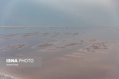 گزارش تصویری | خشکِ خشک مثل دریاچه ارومیه