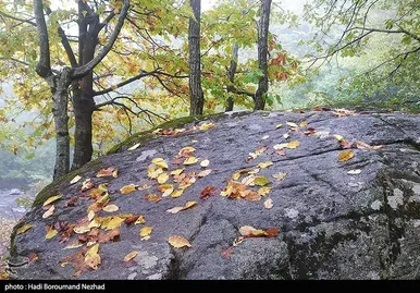 ایران زیباست | پاییز در ارسباران