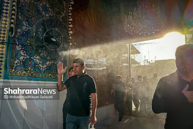مسیر عاشقی | نجف اشرف