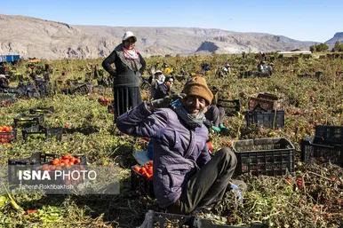 به مناسبت روز جهانی کار و کارگر