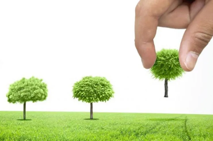 پیش‌بینی کاشت ۱۸۰هزار اصله درخت در هفته درخت‌کاری | افزایش گل‌ها در بهار ۱۴۰۰
