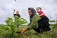 حمایت از زنان روستایی با صندوق بیمه اجتماعی کشاورزان