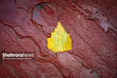 پیش‌بینی هواشناسی مشهد و خراسان رضوی امروز (چهارشنبه، ۳۰ مهر ۱۴۰۴) | احتمال بارش‌های رگباری پراکنده باران در برخی نقاط استان