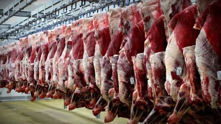 تجهیز کشتارگاه‌های خراسان رضوی به پیش‌سردکن