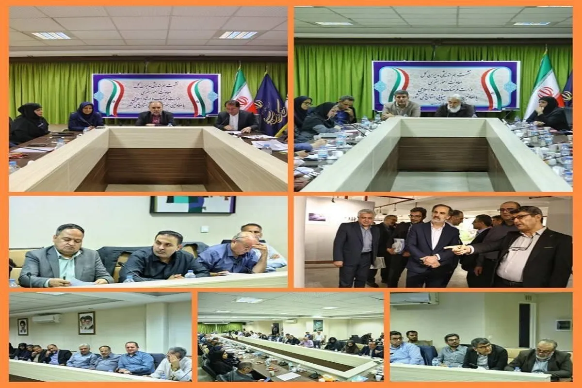 نقش پر رنگ استانها در رونق بخشیدن به فعالیت های هنری