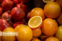 مکان‌های عرضه میوه شب عید در مشهد اعلام شد
