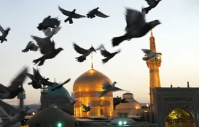ویدئو| روز زیارتی امام رضا(ع)