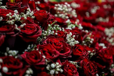 چراغانی و گل آرایی حرم مطهر رضوی به مناسبت میلاد امام رضا (ع)
