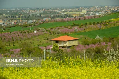 ایران زیباست | طبیعت بهاری روستاهای اطراف ساری