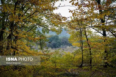 گزارش تصویری | پاییز در النگ دره