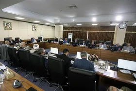 &laquo;تناسبی شدن انتخابات&raquo;، مغایر با سیاست&zwnj;های کلی است