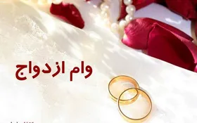 دعوای وام ازدواج، این&zwnj;بار بین دولت و مجلس!
