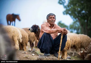 عبور عشایر از خرم آباد