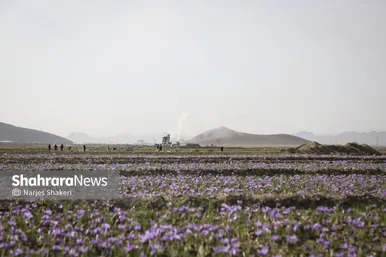 ایران زیباست | فصل طلای سرخِ خراسان
