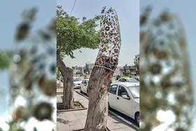 پیوند هنر و طبیعت در مشهد
