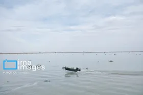 گزارش تصویری | ورود آب به سیستان پس از سال&zwnj;ها خشکسالی