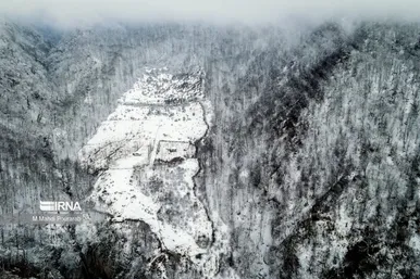 گلستان در زمستان