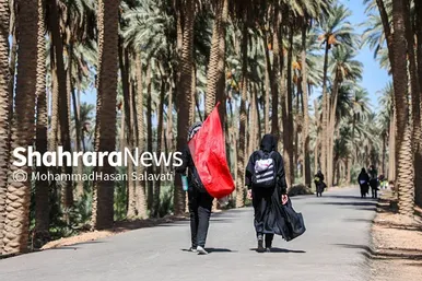 در مسیر کربلا