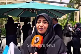 رئیس سازمان محیط زیست: موضوع گردوغبار سرخس در دستورکار ماست + فیلم